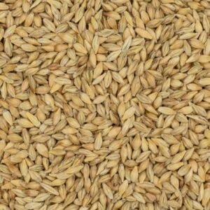 Barley Feed – 30KG