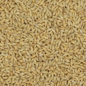 Premium Australian Barley Feed – 30 KG