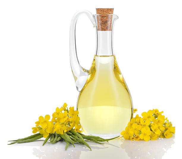 Canola Oil - Image 3