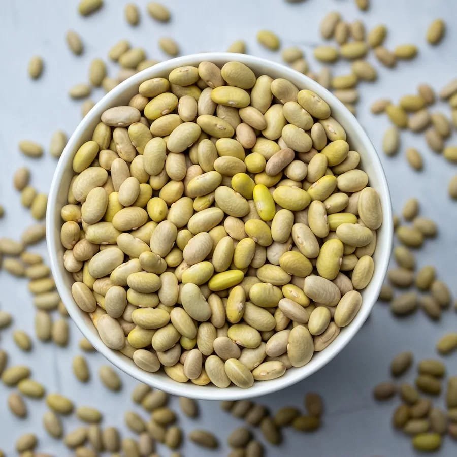 WhatsApp Image 2026-03-05 at 2.59.24 AM