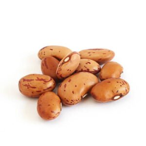 Pinto Beans