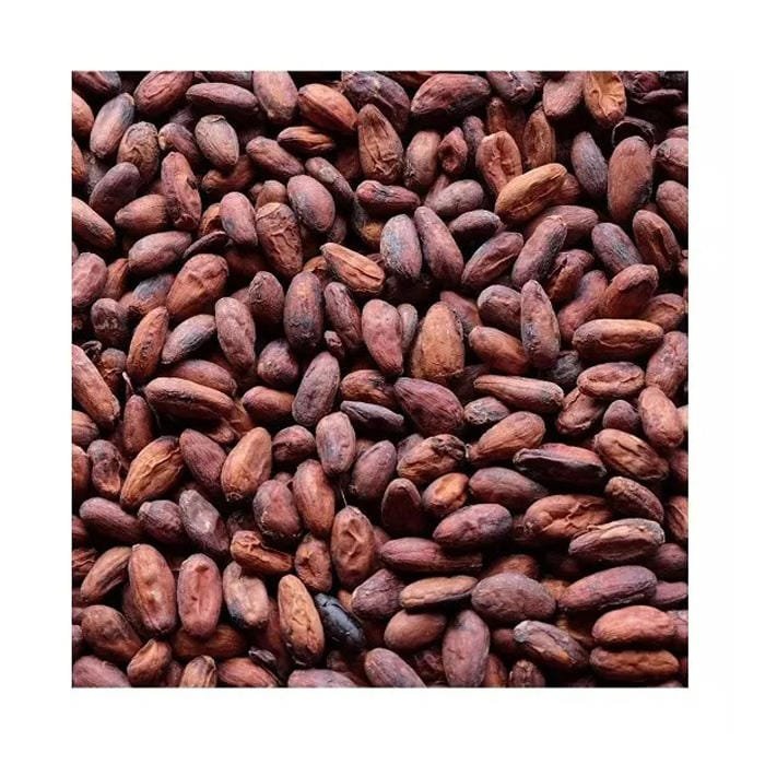 Wholesale Cocoa Beans Suppliers