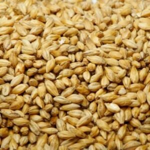 Pearl Barley