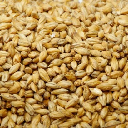 Pearl Barley