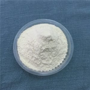 Xanthan Gum